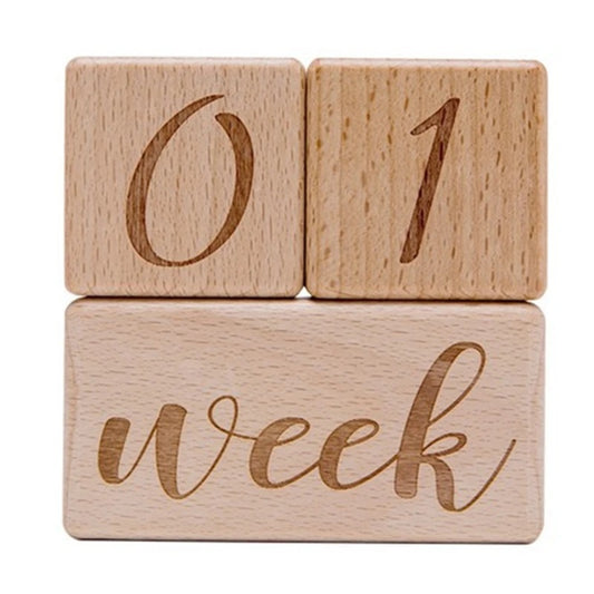Baby Wooden Milestone Blocks with Bag
