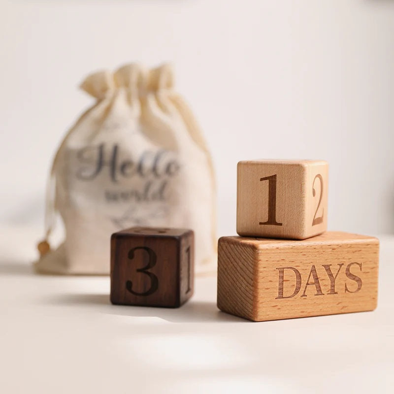 Baby Wooden Milestone Blocks with Bag