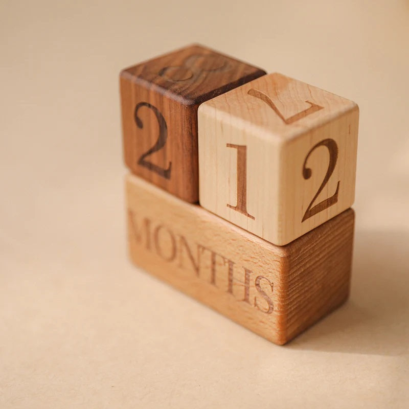 Baby Wooden Milestone Blocks with Bag