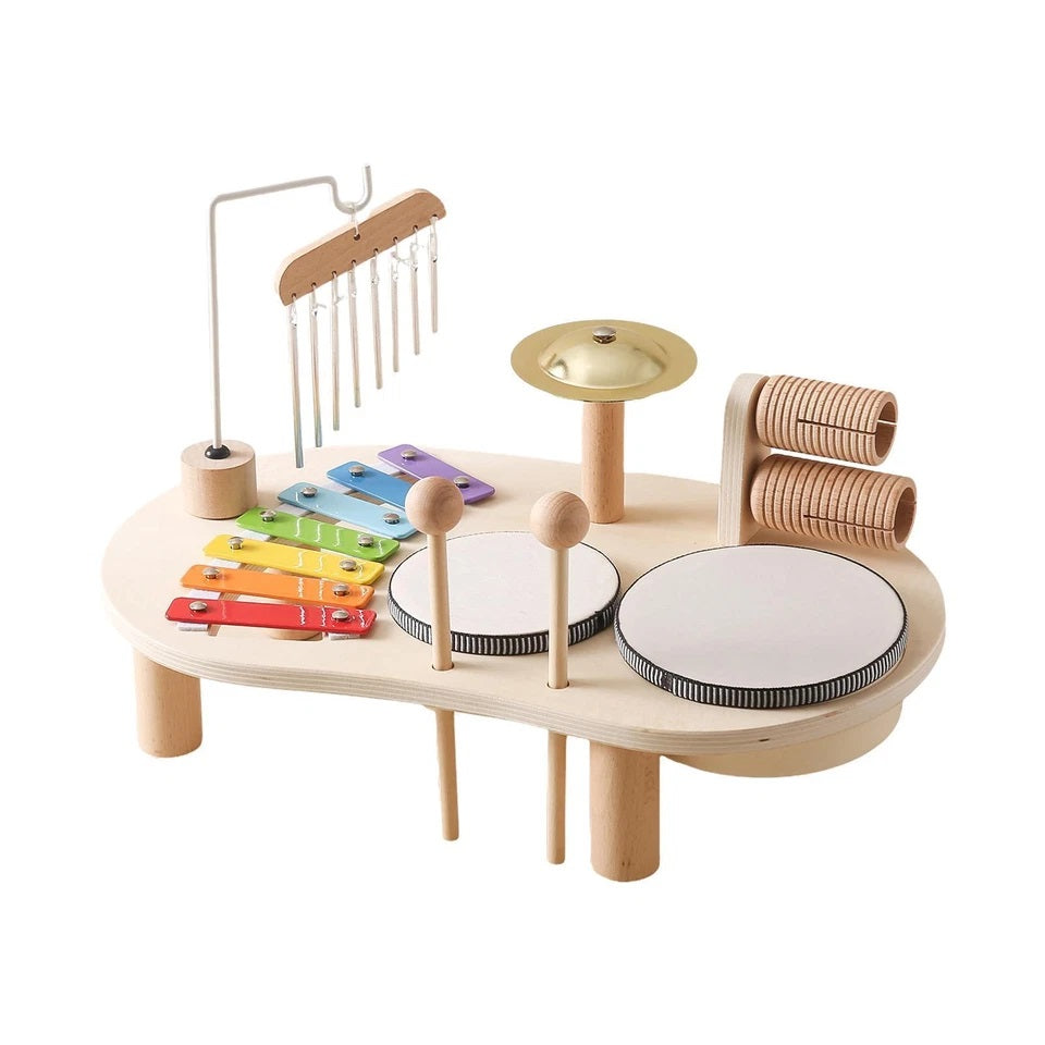 Wooden Montessori Musical Instruments Set